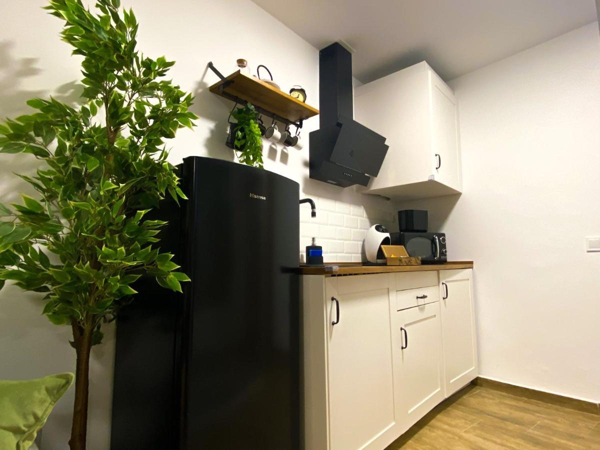 Apartment Con Cueva Romana/roman Cave * Early Check-in Toledo